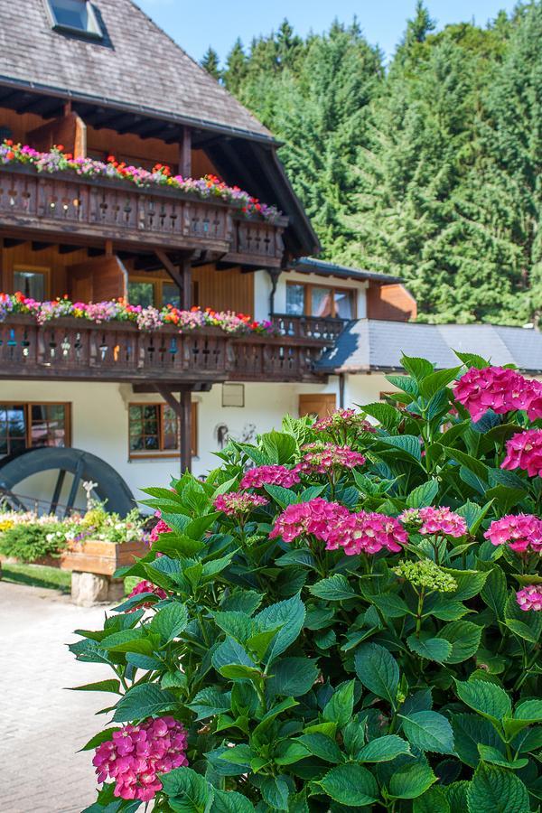 Hotel Tannenmühle Grafenhausen Dış mekan fotoğraf