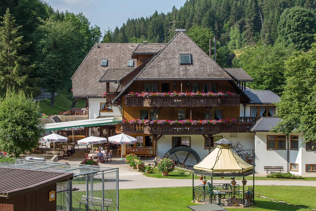 Hotel Tannenmühle Grafenhausen Dış mekan fotoğraf