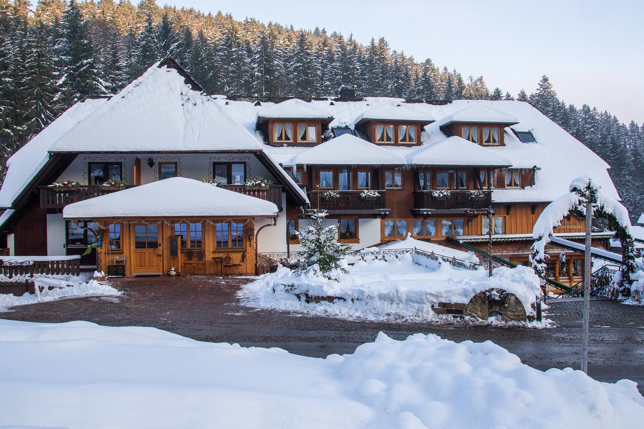 Hotel Tannenmühle Grafenhausen Dış mekan fotoğraf