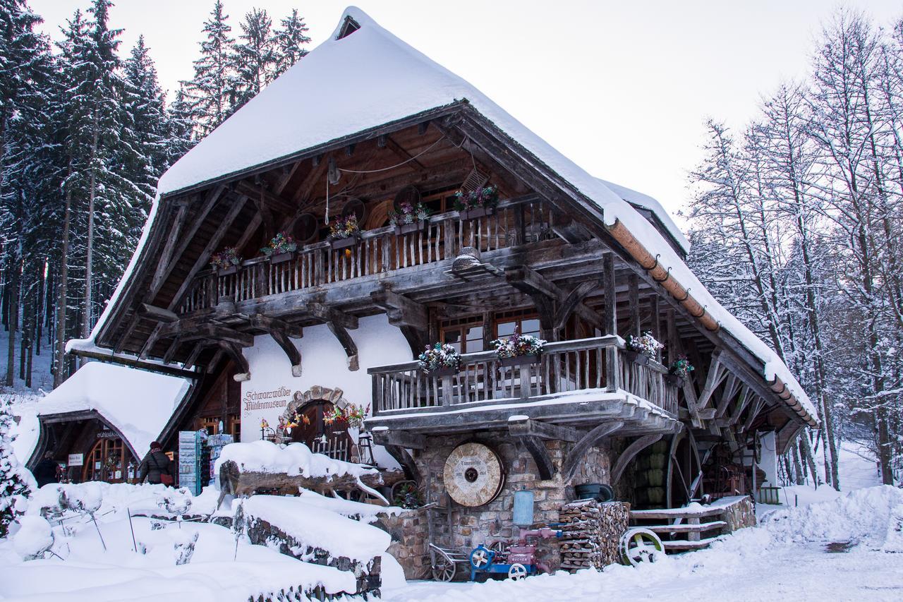 Hotel Tannenmühle Grafenhausen Dış mekan fotoğraf