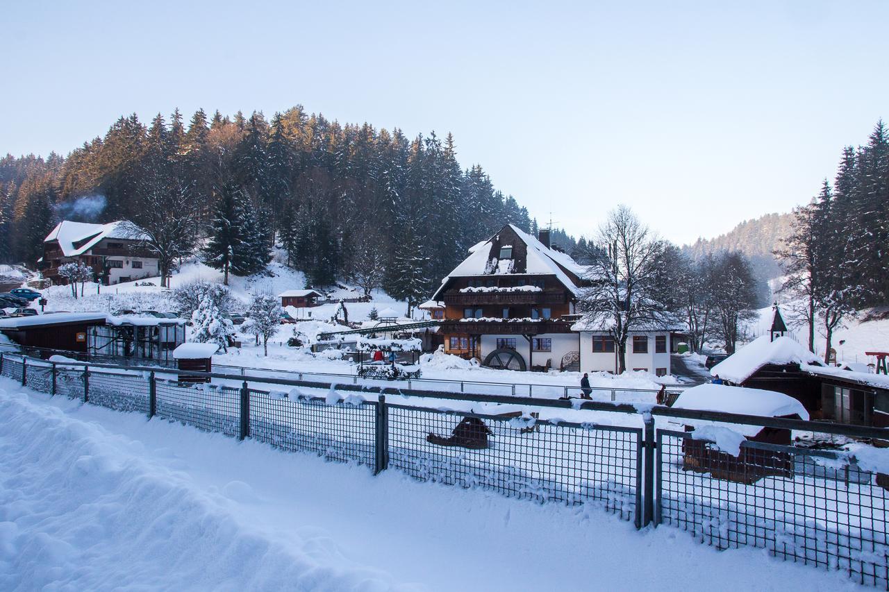 Hotel Tannenmühle Grafenhausen Dış mekan fotoğraf