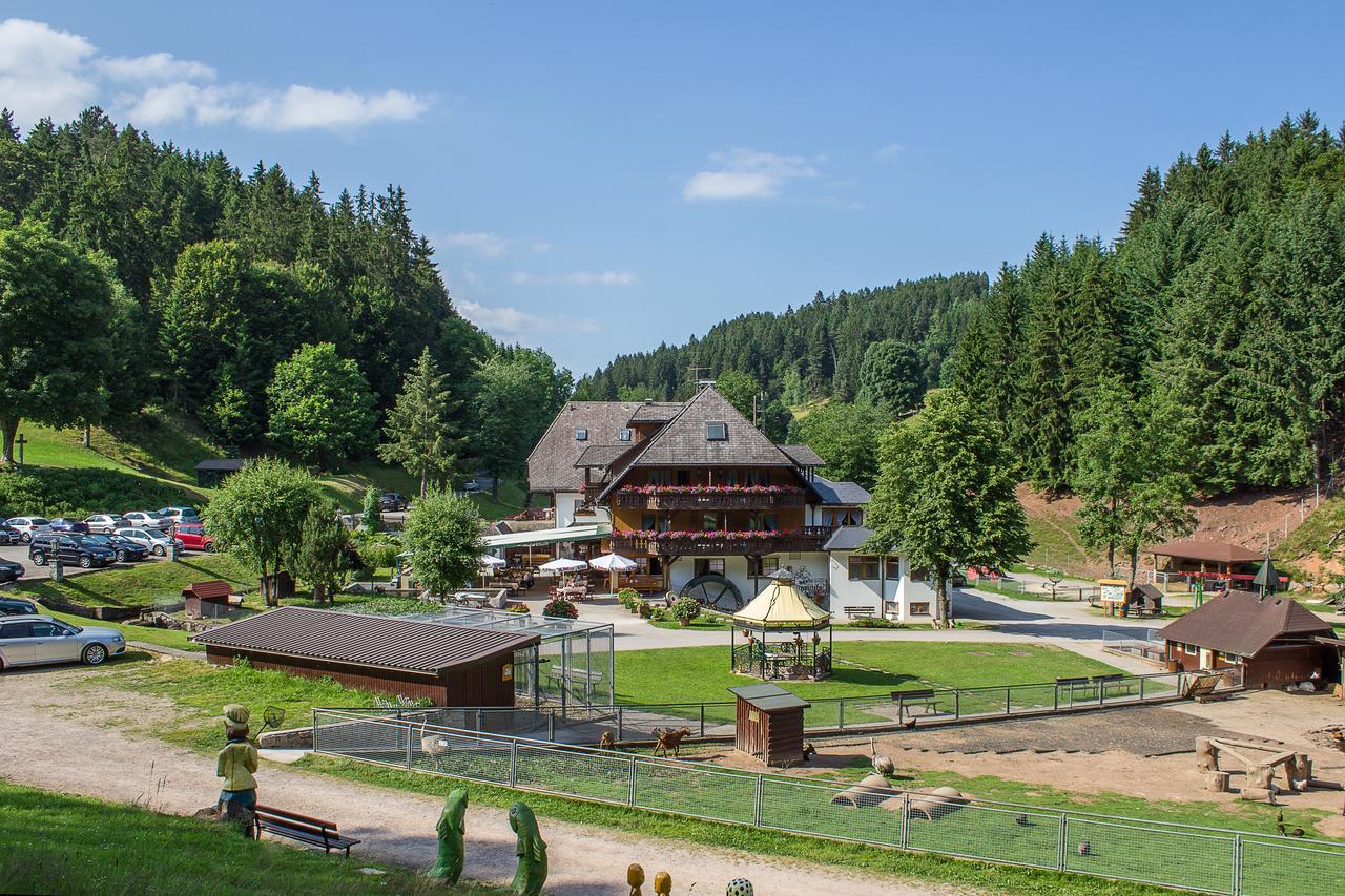 Hotel Tannenmühle Grafenhausen Dış mekan fotoğraf