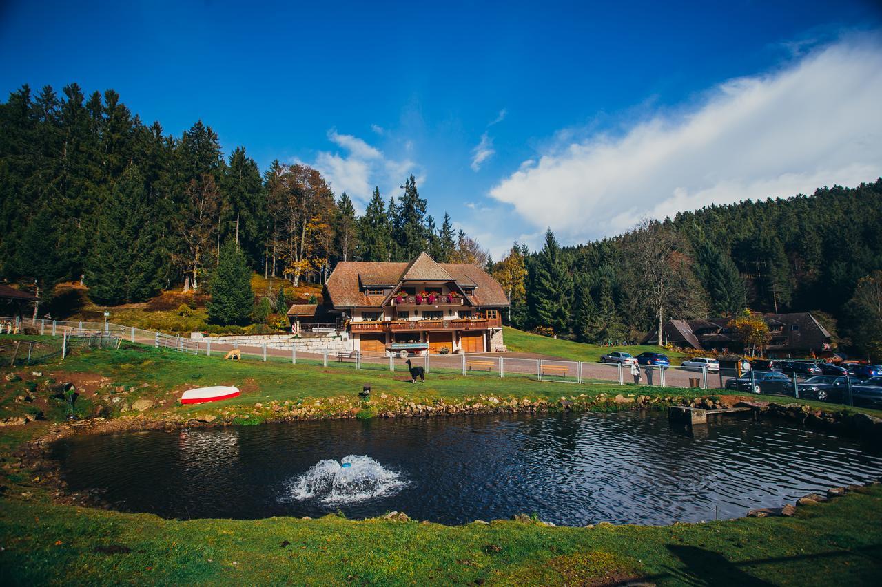 Hotel Tannenmühle Grafenhausen Dış mekan fotoğraf